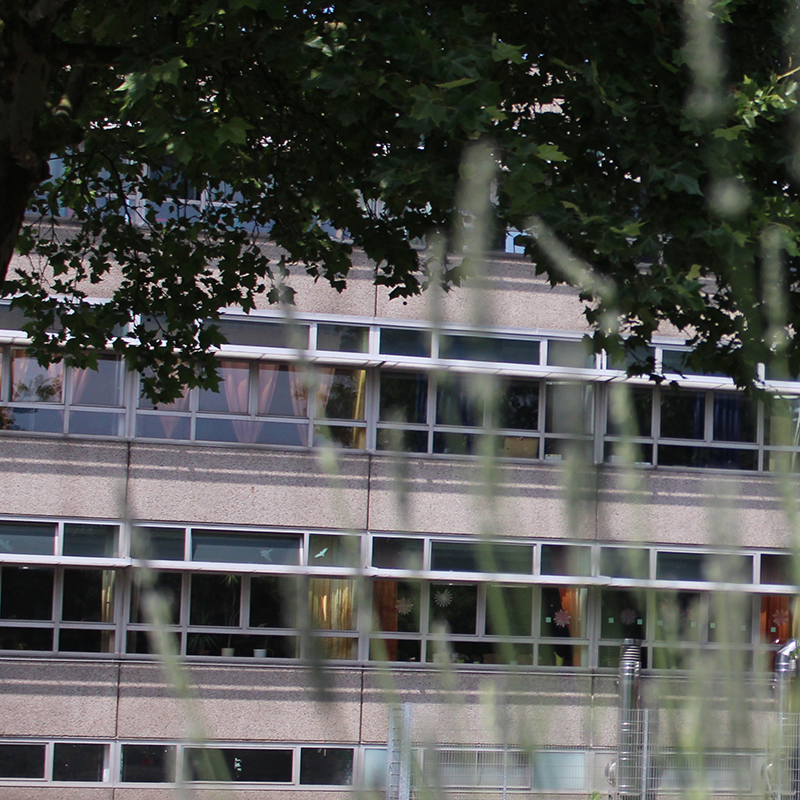 cropped-hasen-1.png