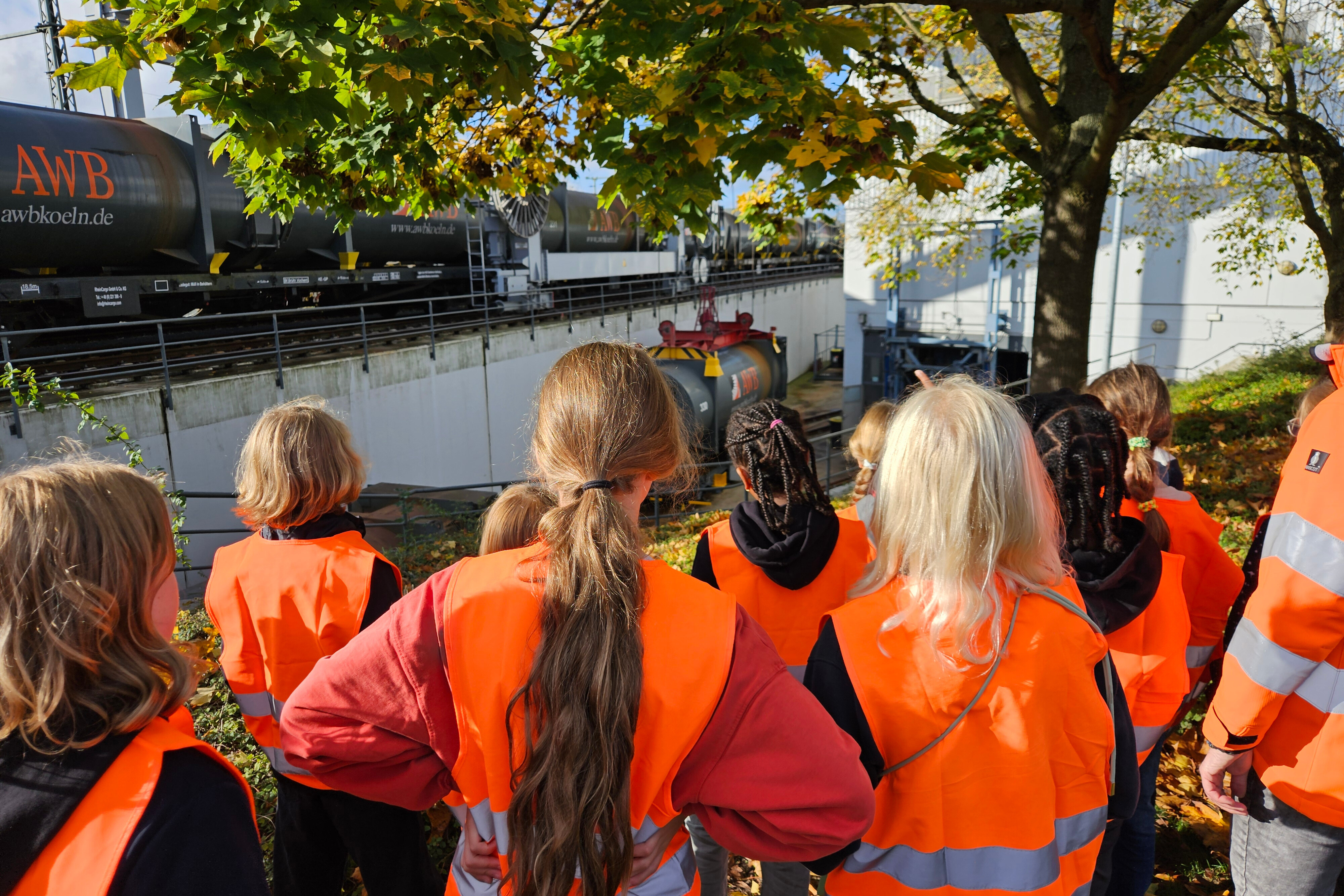 20241022_105509 - bearbeitet
