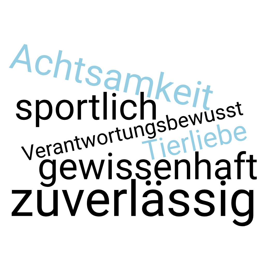 SKU_wordcloud